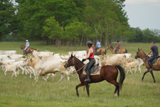 Hungary-Southern Hungary-Emese Trail